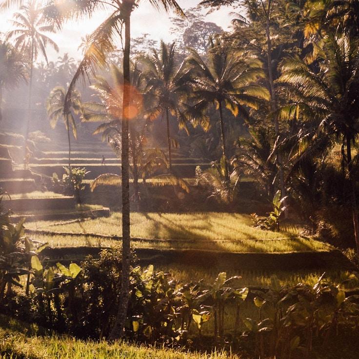 Kids playground area in Netherlands